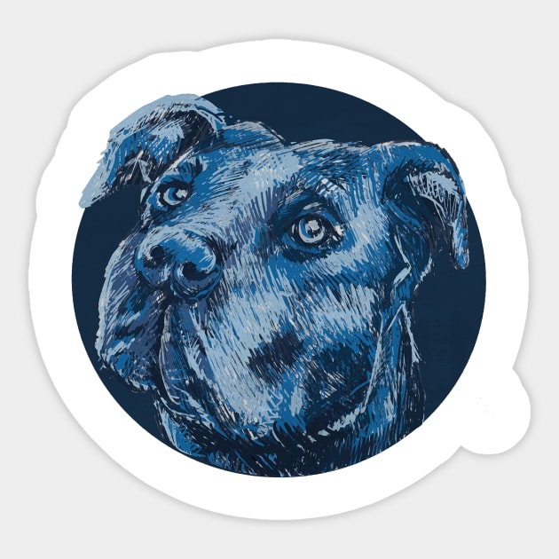 Blue pitbull dog animal portrait Sticker by Picasso_design1995